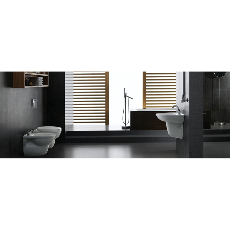YS22215P	2-piece ceramic toilet, close coupled P-trap washdown toilet;