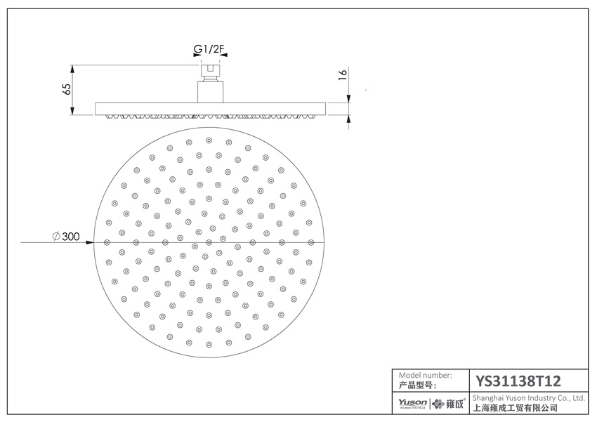 YS31138T12	ABS shower head, rain shower head;